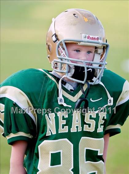 Thumbnail 3 in Fletcher @ Nease photogallery.