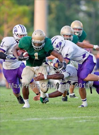 Thumbnail 1 in Fletcher @ Nease photogallery.