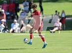 Photo from the gallery "The Classical Academy @ Colorado Academy"