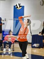 Photo from the gallery "Hamilton Heights @ Delta"