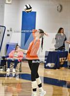 Photo from the gallery "Hamilton Heights @ Delta"