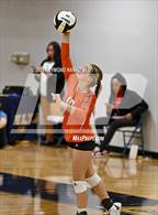 Photo from the gallery "Hamilton Heights @ Delta"