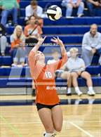 Photo from the gallery "Hamilton Heights @ Delta"