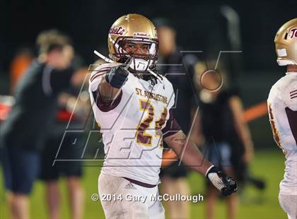 Thumbnail 2 in St. Augustine @ Bartram Trail photogallery.