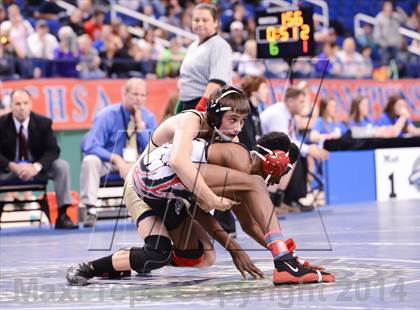 Thumbnail 2 in NCHSAA 2A Wrestling Championships photogallery.