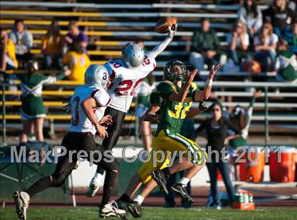 Thumbnail 3 in Bear River @ Placer photogallery.