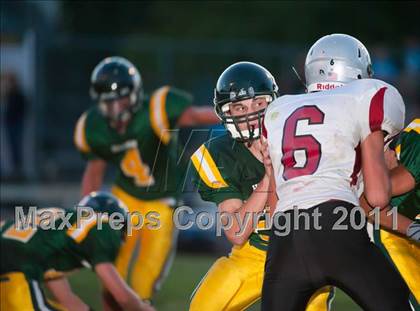 Thumbnail 3 in Bear River @ Placer photogallery.