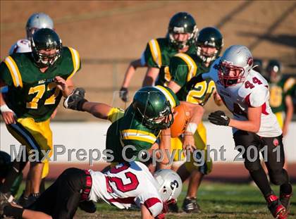 Thumbnail 3 in Bear River @ Placer photogallery.