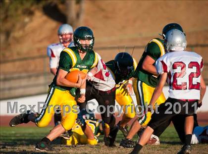 Thumbnail 1 in Bear River @ Placer photogallery.