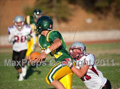 Thumbnail 3 in Bear River @ Placer photogallery.