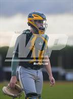 Photo from the gallery "Great Bridge @ Hickory"