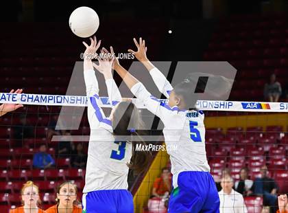 Thumbnail 3 in Xavier College Prep vs. Corona del Sol (AIA 6A Final)  photogallery.
