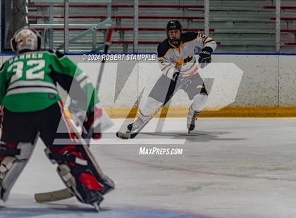 Thumbnail 1 in Pine-Richland @ North Allegheny photogallery.