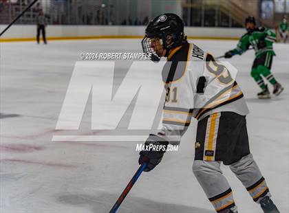 Thumbnail 2 in Pine-Richland @ North Allegheny photogallery.