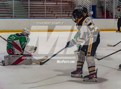 Thumbnail 3 in Pine-Richland @ North Allegheny photogallery.