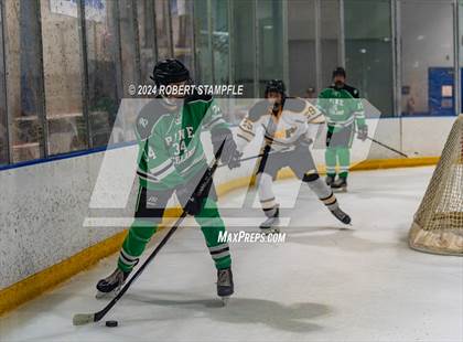 Thumbnail 2 in Pine-Richland @ North Allegheny photogallery.