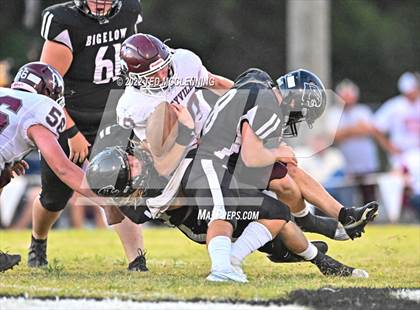 Thumbnail 2 in Perryville @ Bigelow photogallery.