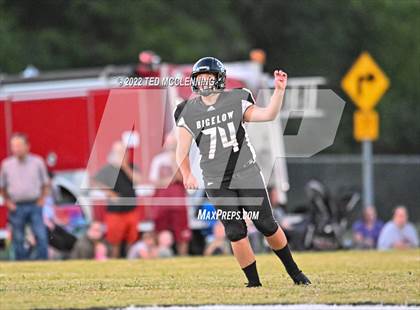 Thumbnail 1 in Perryville @ Bigelow photogallery.