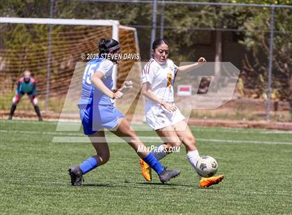 Thumbnail 3 in Winslow vs Camp Verde (Longhorn Invitational) photogallery.