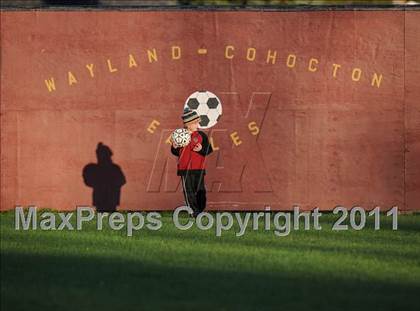 Thumbnail 3 in Wayland-Cohocton vs Haverling photogallery.