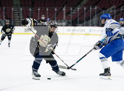 Thumbnail 2 in Passaic County Tech vs River Dell (Prudential Center) photogallery.