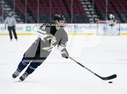 Thumbnail 2 in Passaic County Tech vs River Dell (Prudential Center) photogallery.