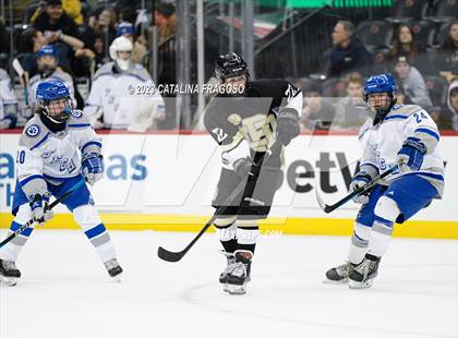 Thumbnail 3 in Passaic County Tech vs River Dell (Prudential Center) photogallery.