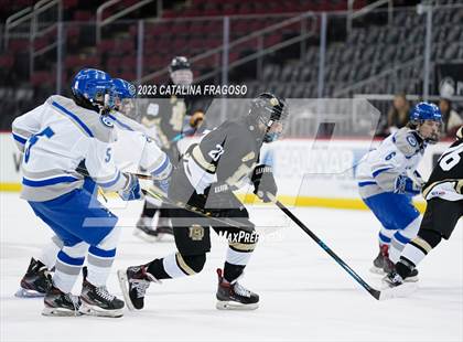 Thumbnail 2 in Passaic County Tech vs River Dell (Prudential Center) photogallery.