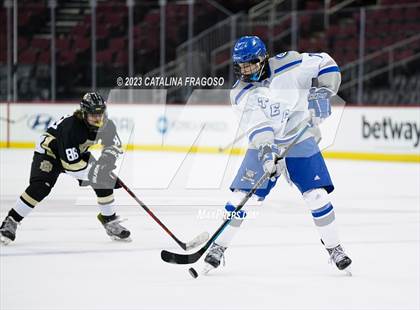 Thumbnail 3 in Passaic County Tech vs River Dell (Prudential Center) photogallery.