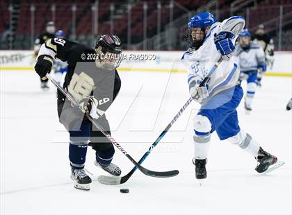 Thumbnail 3 in Passaic County Tech vs River Dell (Prudential Center) photogallery.