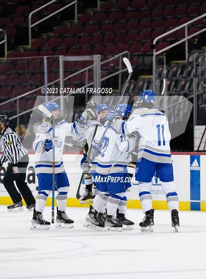 Thumbnail 3 in Passaic County Tech vs River Dell (Prudential Center) photogallery.