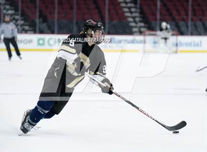 Thumbnail 1 in Passaic County Tech vs River Dell (Prudential Center) photogallery.