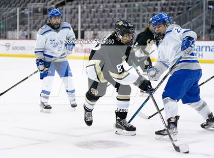 Thumbnail 1 in Passaic County Tech vs River Dell (Prudential Center) photogallery.