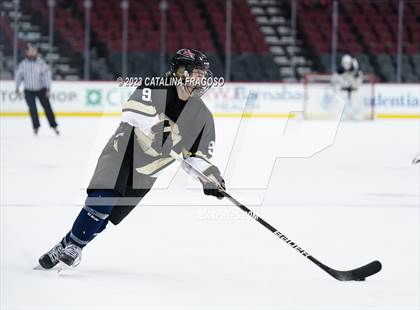 Thumbnail 3 in Passaic County Tech vs River Dell (Prudential Center) photogallery.