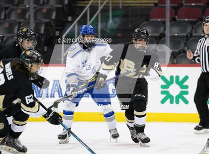 Thumbnail 3 in Passaic County Tech vs River Dell (Prudential Center) photogallery.