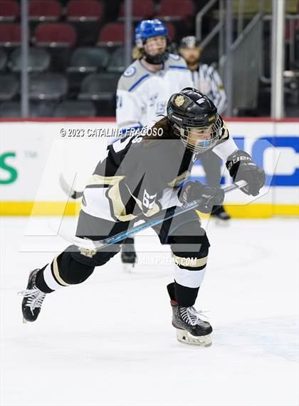 Thumbnail 1 in Passaic County Tech vs River Dell (Prudential Center) photogallery.