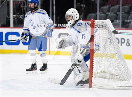 Thumbnail 3 in Passaic County Tech vs River Dell (Prudential Center) photogallery.