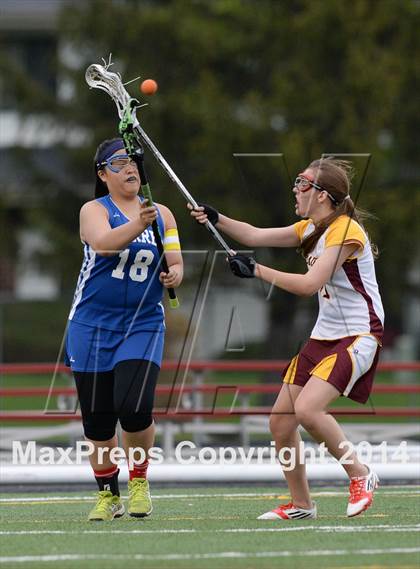 Thumbnail 3 in Warren @ Schaumburg photogallery.