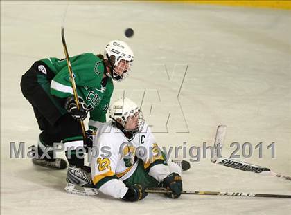 Thumbnail 1 in Kinnelon @ Morris Knolls photogallery.
