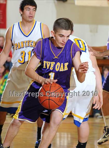 Thumbnail 2 in Maxwell vs. Live Oak photogallery.