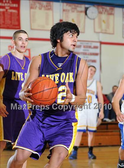 Thumbnail 1 in Maxwell vs. Live Oak photogallery.