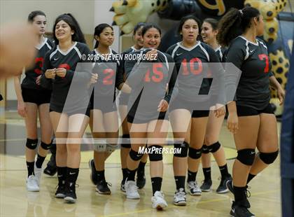 Thumbnail 3 in Modesto @ Gregori photogallery.