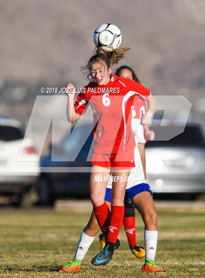 Thumbnail 1 in Big Bear @ Academy for Academic Excellence photogallery.