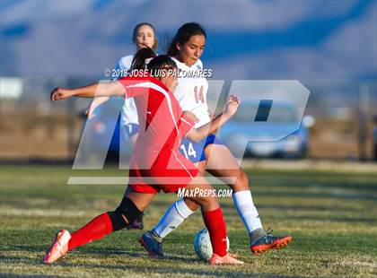 Thumbnail 2 in Big Bear @ Academy for Academic Excellence photogallery.