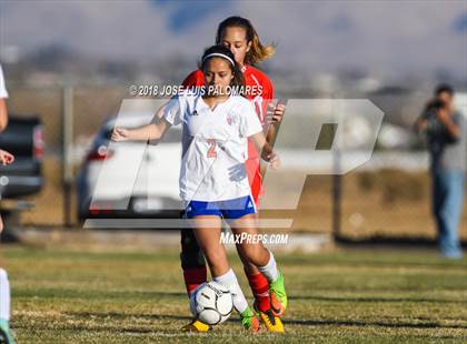Thumbnail 3 in Big Bear @ Academy for Academic Excellence photogallery.