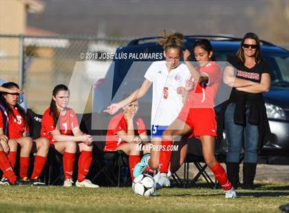 Thumbnail 2 in Big Bear @ Academy for Academic Excellence photogallery.