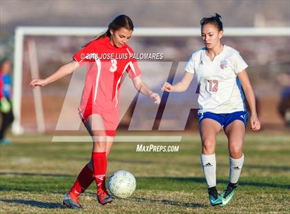 Thumbnail 3 in Big Bear @ Academy for Academic Excellence photogallery.