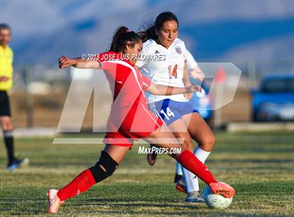 Thumbnail 1 in Big Bear @ Academy for Academic Excellence photogallery.