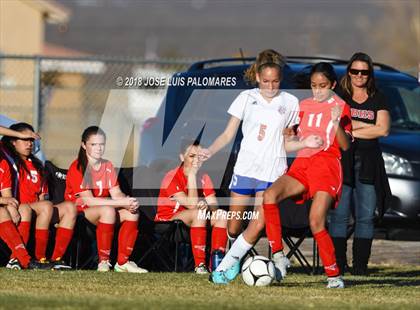 Thumbnail 1 in Big Bear @ Academy for Academic Excellence photogallery.