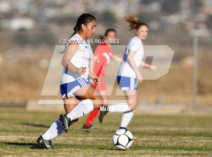 Thumbnail 1 in Big Bear @ Academy for Academic Excellence photogallery.
